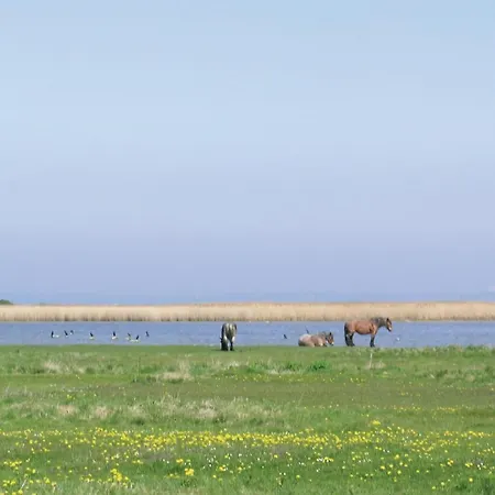 Casa de Férias Spovevej Xii *